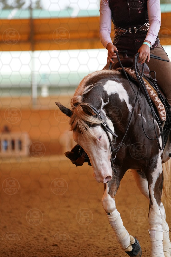 s_A_909815.JPG